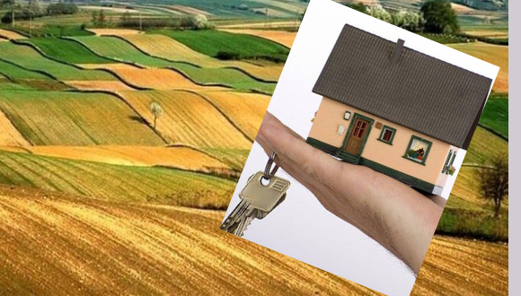 TARIM ARAZİSİNE EV YAPILIR MI ?ZEYTİNLİKLERE EV YAPILIR MI?